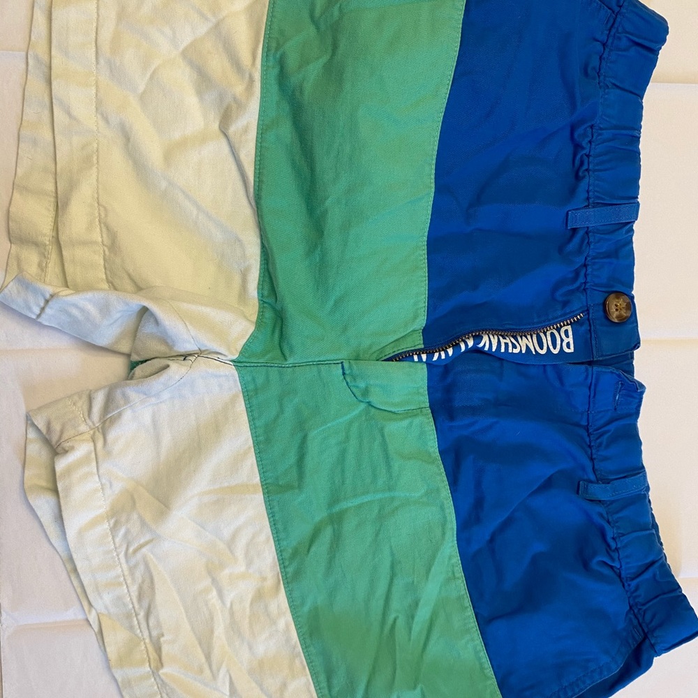 chubbies Blue, Teal & White Colorblock Men's Shorts
